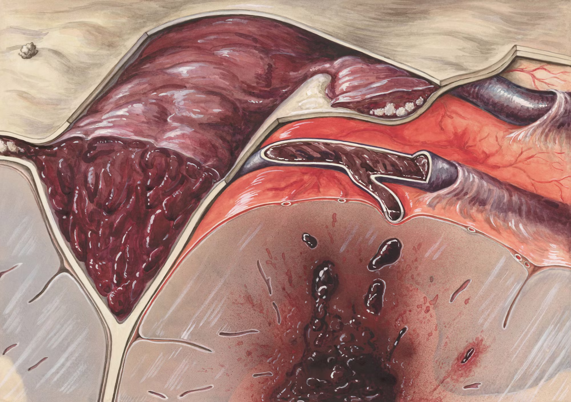 Die Zukunft der personalisierten Medizin: Das Potenzial einer maßgeschneiderten Gesundheitsversorgung erschließen